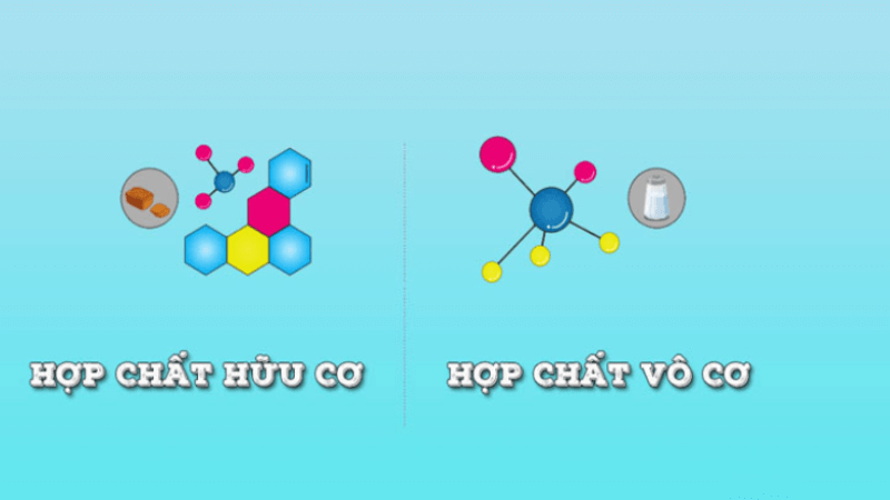 Các nguyên tố chính trong hợp chất hữu cơ và vô cơ (Cacbon, Hydro, Oxy, Nitơ,...)