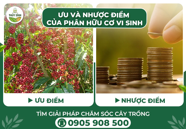 So sánh hữu cơ vi sinh với các phương pháp khác: ưu điểm và nhược điểm