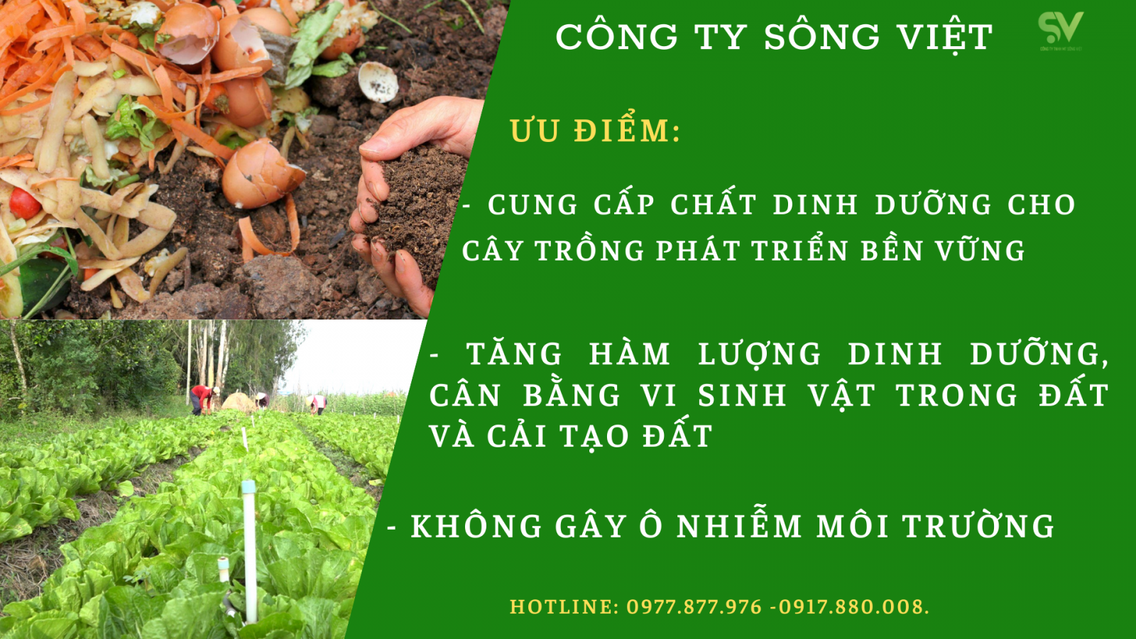 An toàn và tác động môi trường của hữu cơ vi sinh