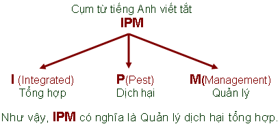 Các phương pháp quản lý dịch hại tổng hợp trong IPM