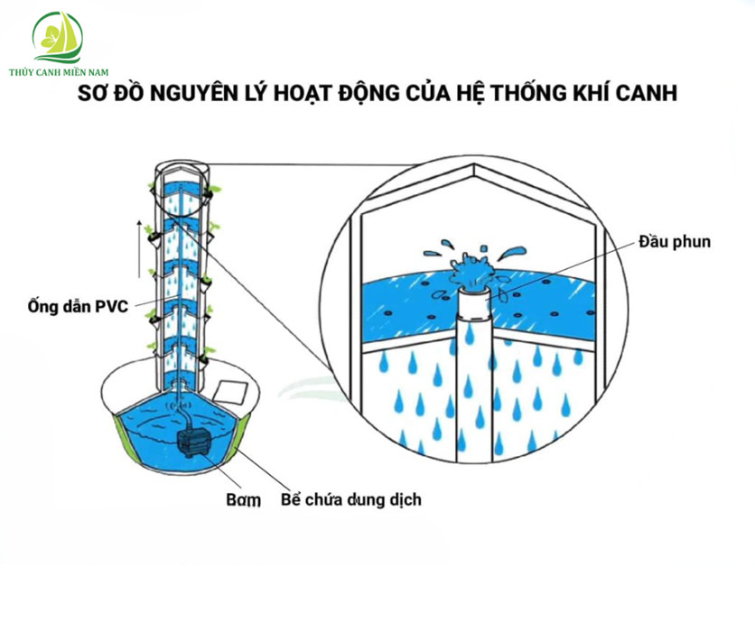 Hướng dẫn chi tiết kỹ thuật khí canh cho người mới bắt đầu