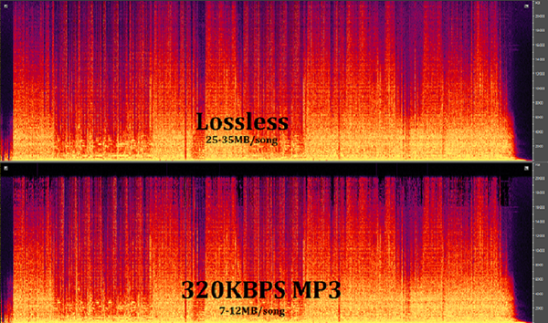 So sánh mã hoá lossy và lossless: ảnh hưởng đến chất lượng và dung lượng