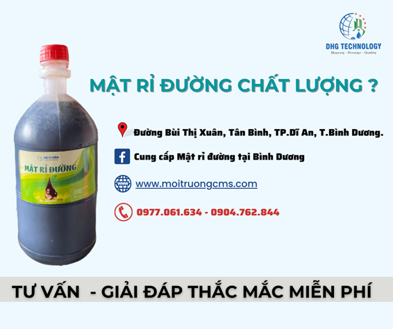 Giá cả và nơi mua mật rỉ đường chất lượng