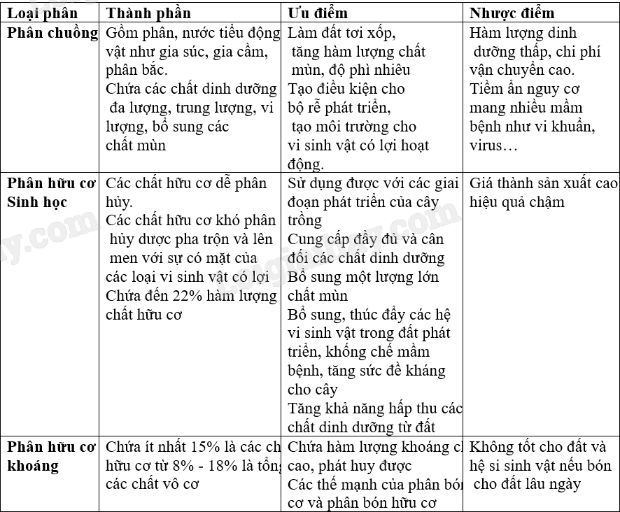 Phân bón vi sinh: Ưu điểm, nhược điểm và ứng dụng