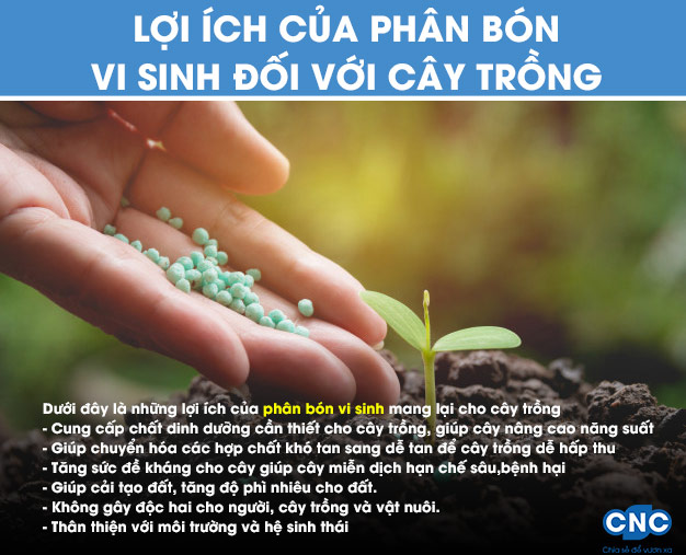 Tác dụng của phân bón vi sinh đối với cây trồng và đất