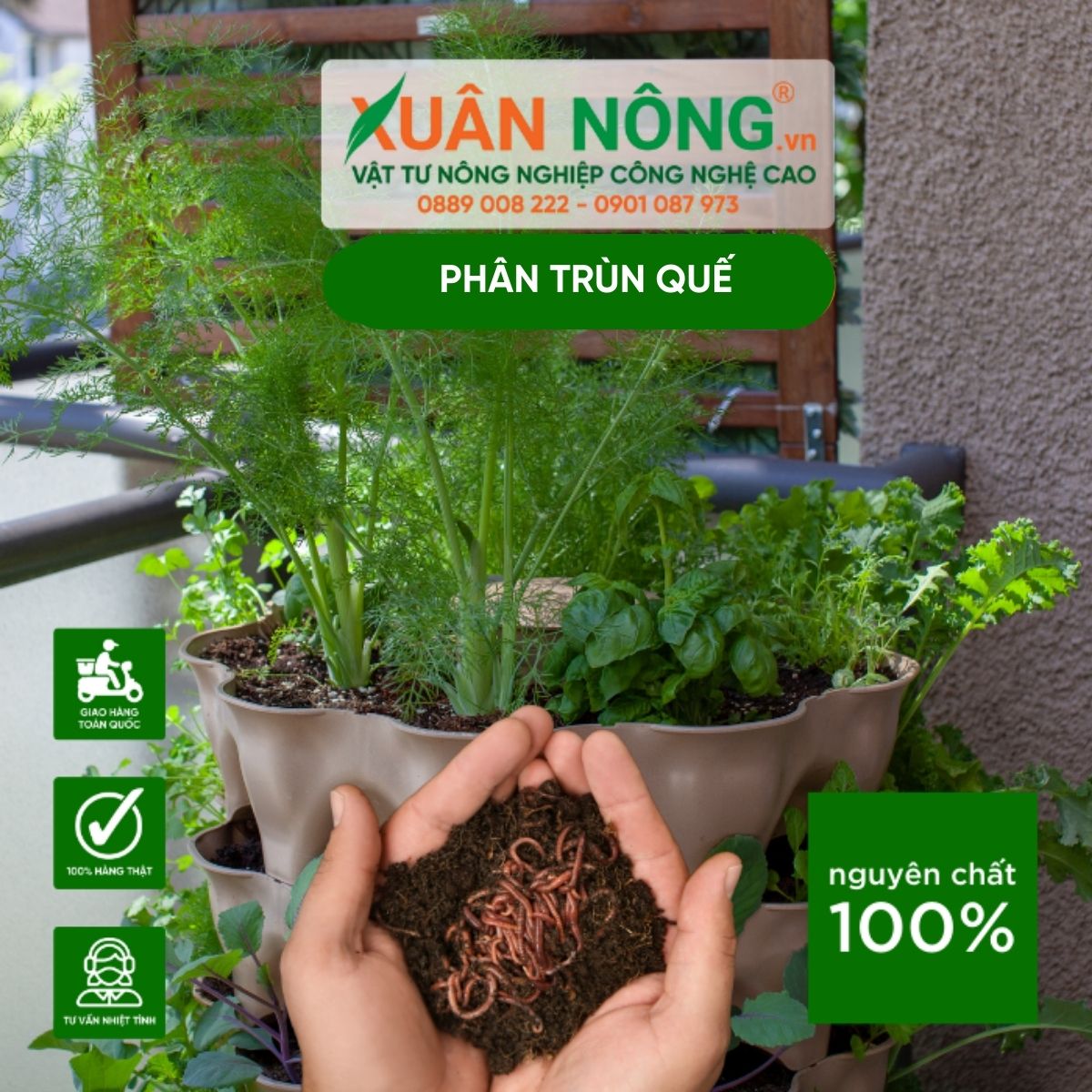 Ứng dụng của phân trùn quế trong nông nghiệp: Tăng năng suất cây trồng