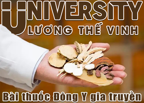 Công dụng của rau mùi trong ẩm thực và y học cổ truyền