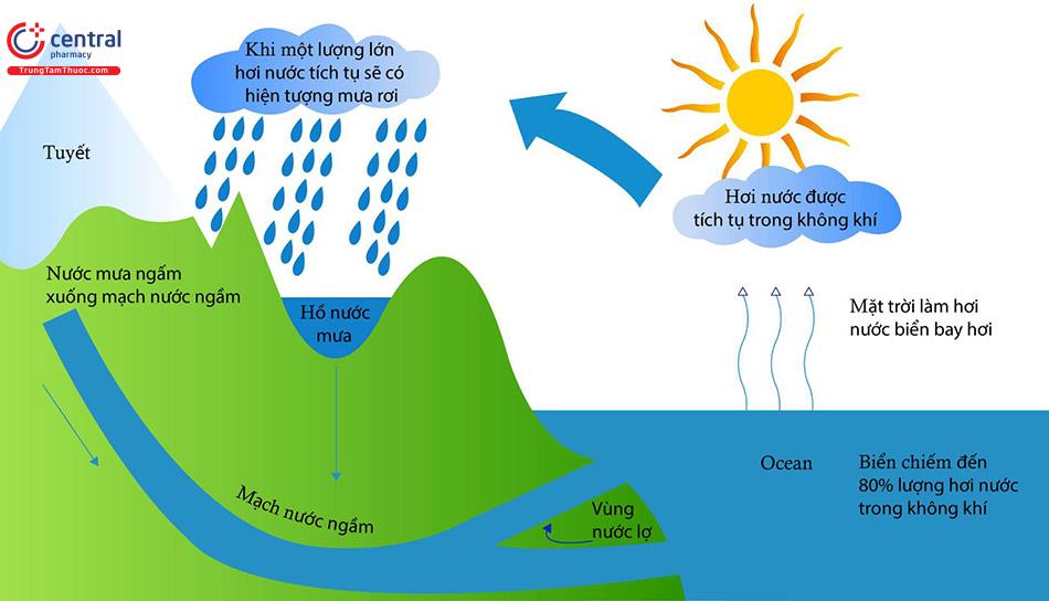 Nguyên nhân gây ra hiện tượng rỉ: tác động của oxy và nước