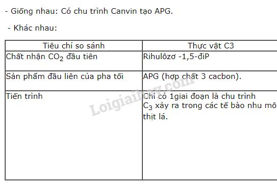 Sự khác biệt trong sản phẩm quang hợp ở thực vật C3 và C4 (So sánh)