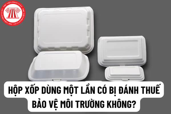 Quy định và luật lệ liên quan đến việc sử dụng thùng xốp