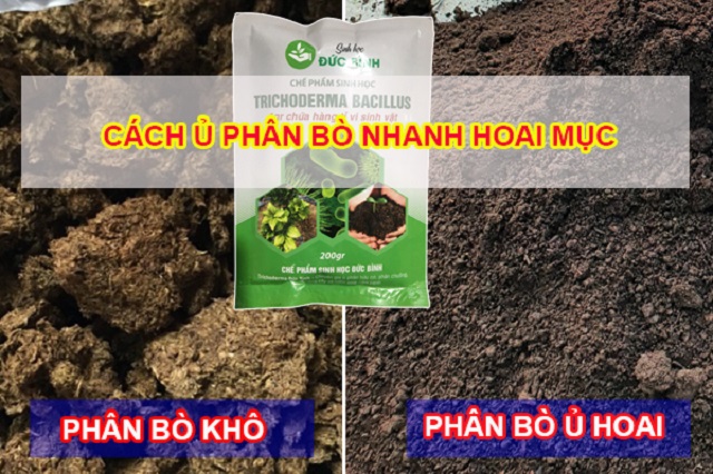 Các phương pháp ủ hoai phổ biến và hiệu quả