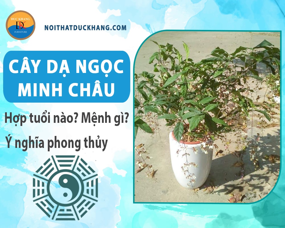 Giá Trị Và Ý Nghĩa Phong Thủy Của Dạ Minh Châu