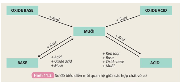 Phân loại và tính chất của các chất vô cơ