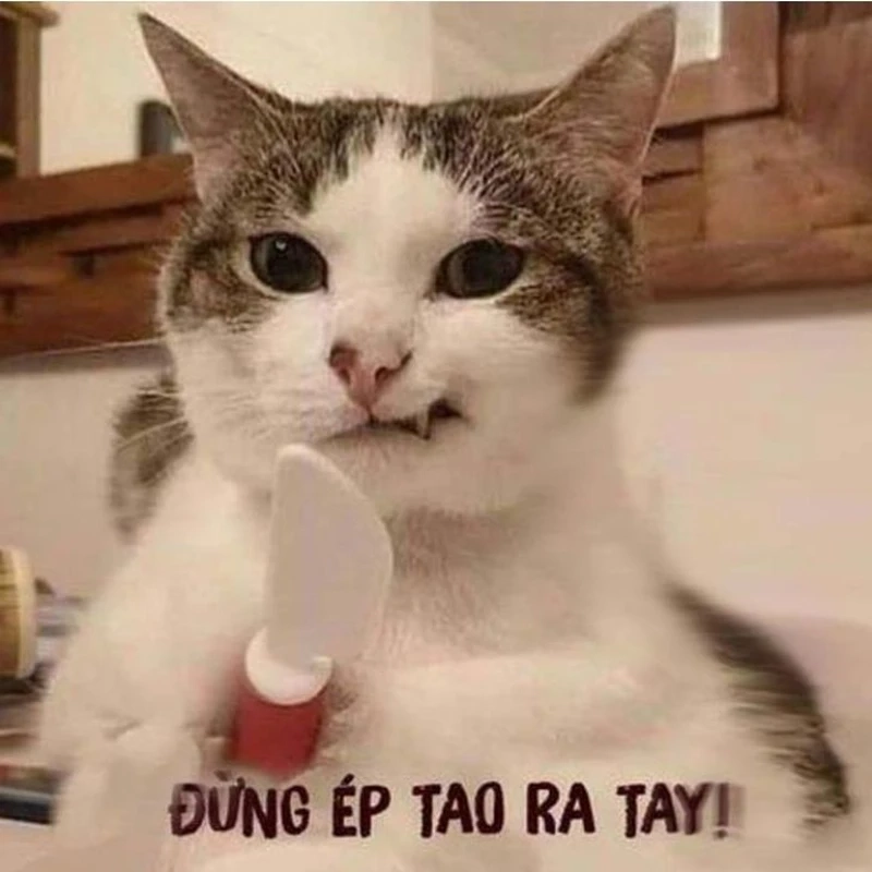 Thể hiện cảm xúc trọn vẹn qua khóc meme hài hước