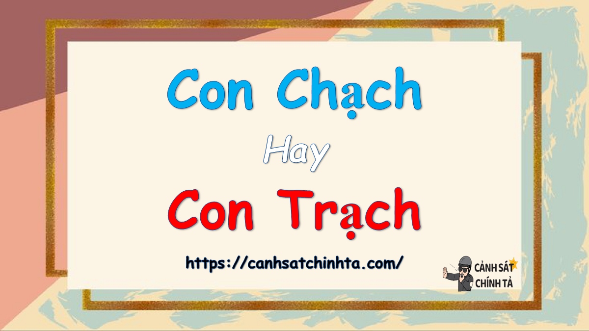 Con chạch hay Con trạch