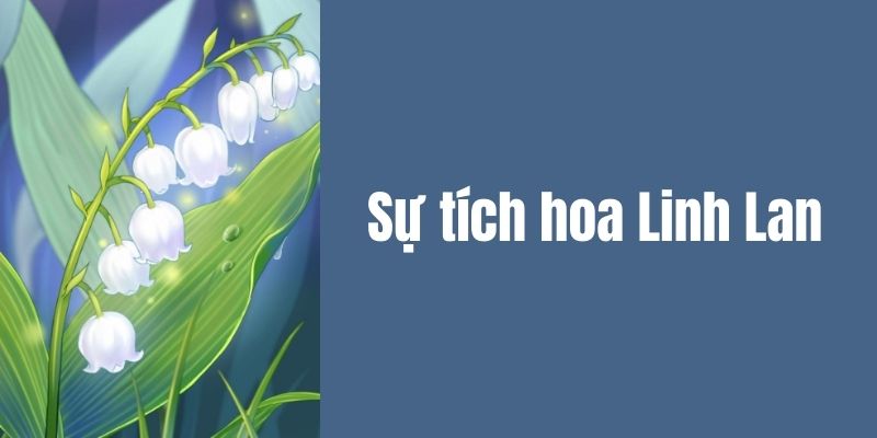 sự tích hoa linh lan