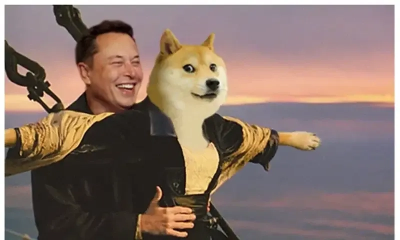 Doge meme là biểu tượng hài hước của mạng xã hội, bạn đã thử chưa