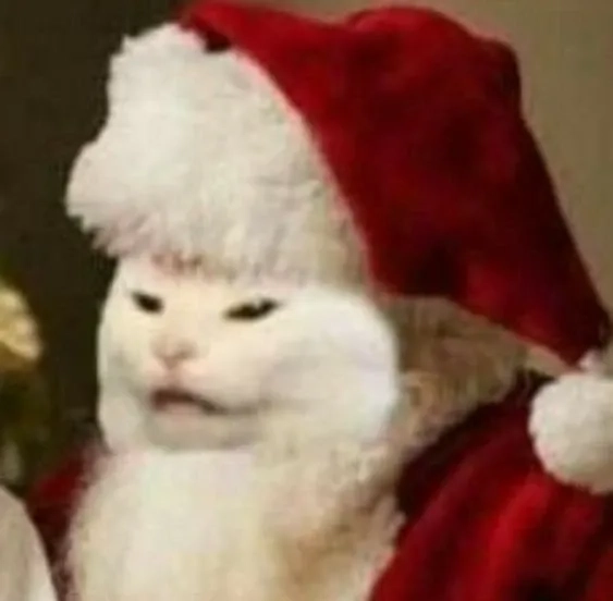 Cùng chia sẻ niềm vui mùa Noel với meme mèo noel cute dễ thương