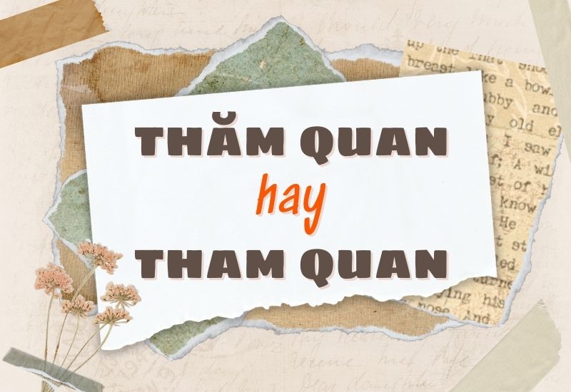 Thăm quan hay tham quan