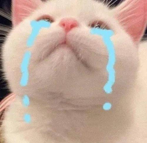 Sad cat meme biểu cảm buồn đáng yêu, không thể bỏ qua