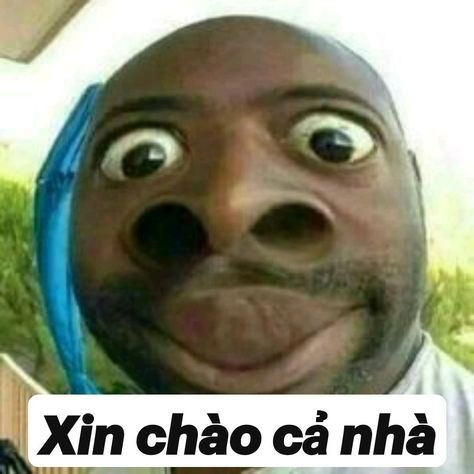 Ngộ nghĩnh hết ý với chào em meme