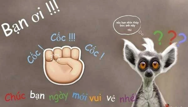 Hello meme chào ngộ nghĩnh, tạo niềm vui mỗi ngày