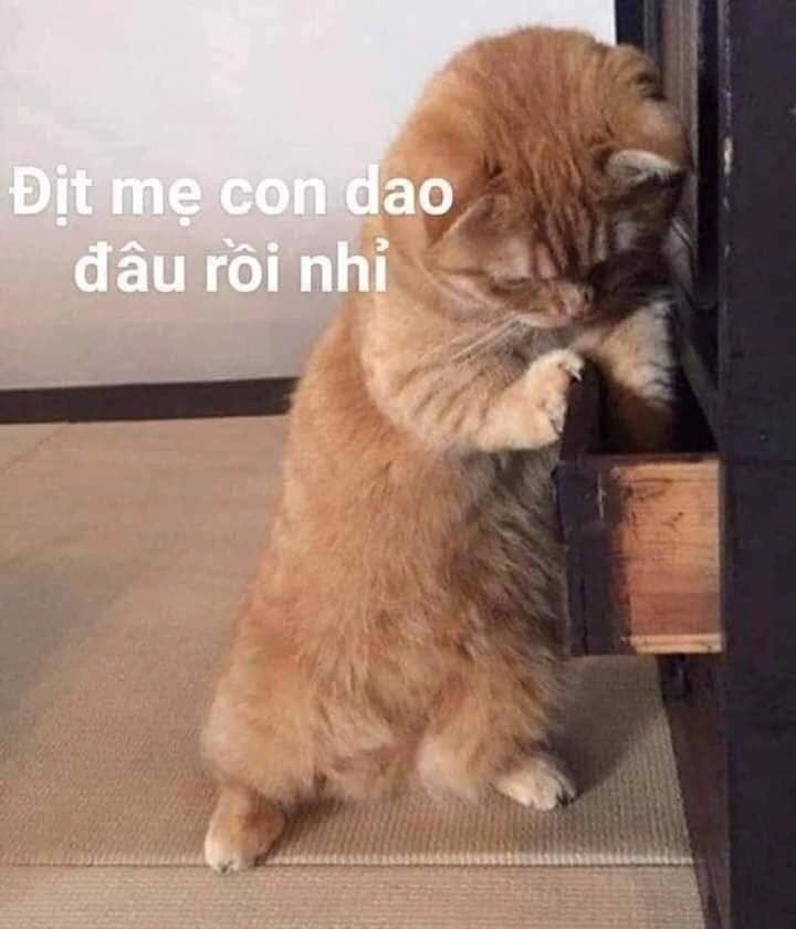 Hài không đỡ nổi với chửi lộn meme chửi