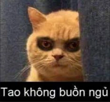 Biểu cảm cực hài trong meme mèo cầm dao