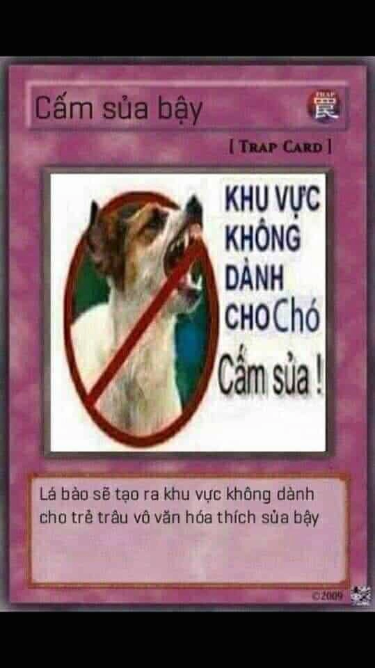 Bộ bài yugioh meme chế độc lạ và bá đạo