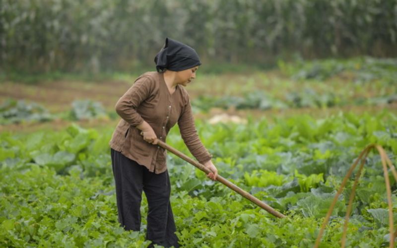 bài thơ hay về mẹ