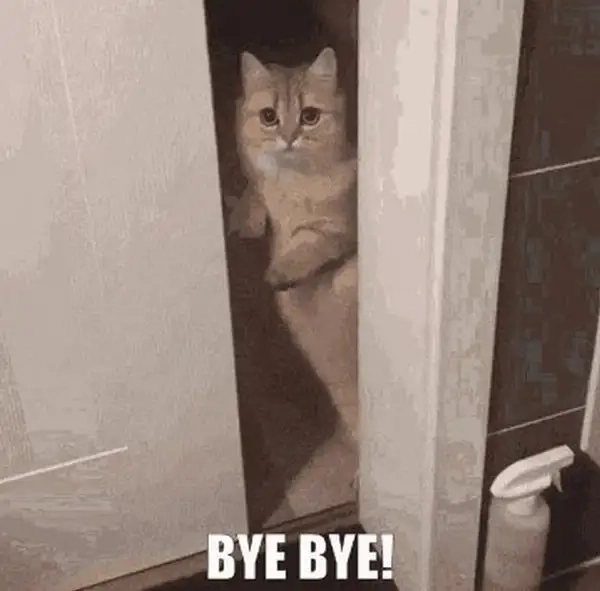 Meme good bye hài hước, biểu cảm cực lầy