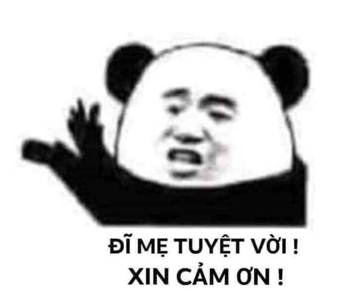 Mèo cảm ơn meme mang đến nụ cười vui vẻ