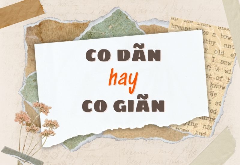 co dãn hay co giãn