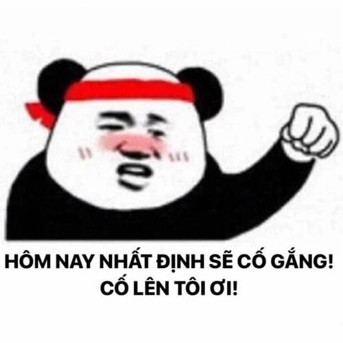 Chuột cống meme độc lạ, hài hước cho bài viết vui