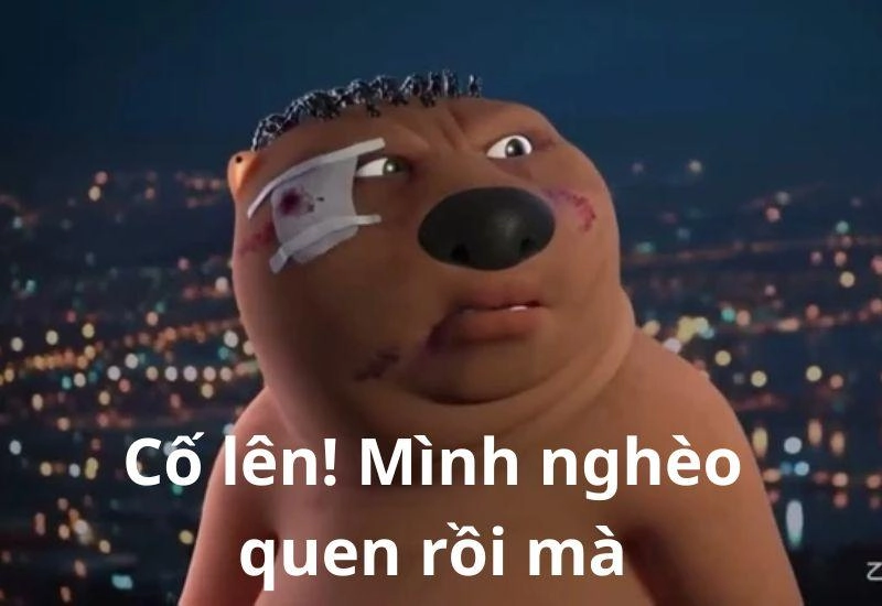 Meme tiện tì cố chấp độc lạ, cực kỳ ấn tượng