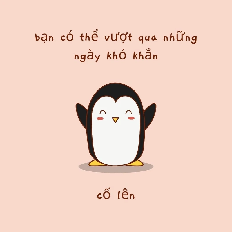 Cốc cốc cốc meme ngộ nghĩnh, làm mới bài đăng hài