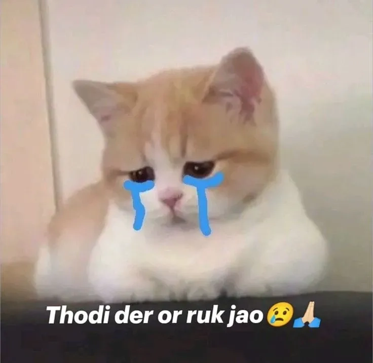 Meme jerry crying khiến bạn nhớ lại những khoảnh khắc tuổi thơ