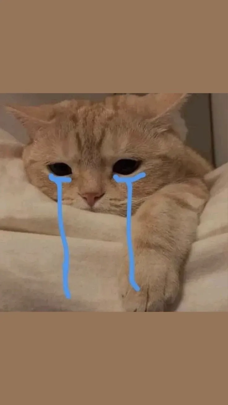 Crying jerry meme mang lại cảm xúc đáng yêu và hài hước