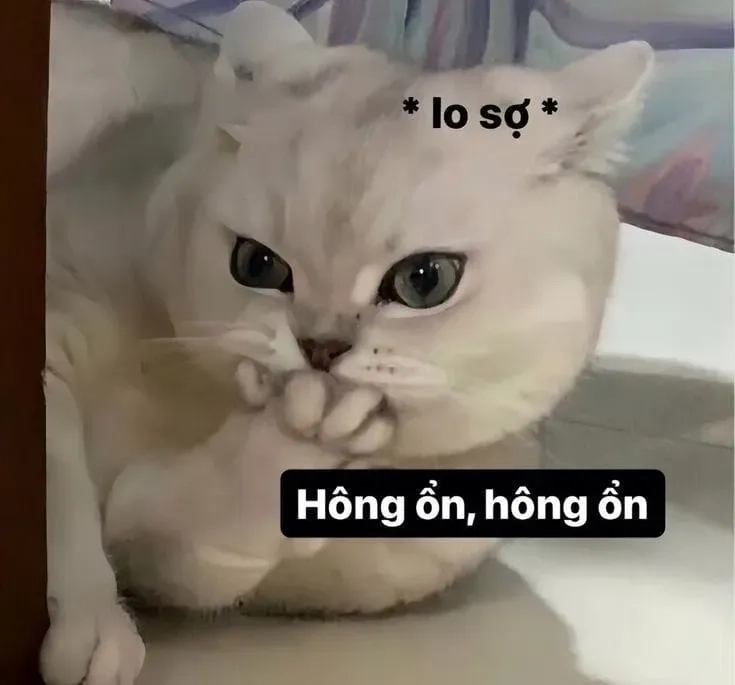 Jerry cry meme làm sáng ngày của bạn với tiếng cười