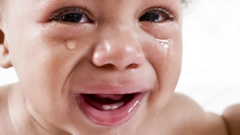 Crying girl and chad meme đầy ý nghĩa và không kém phần hài