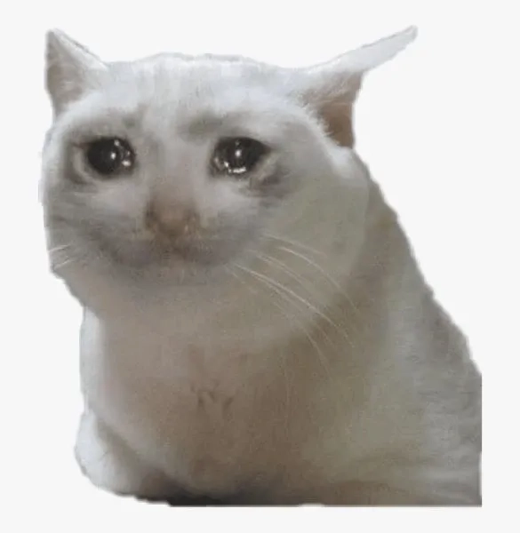 Khám phá cảm xúc mèo qua crying cats meme