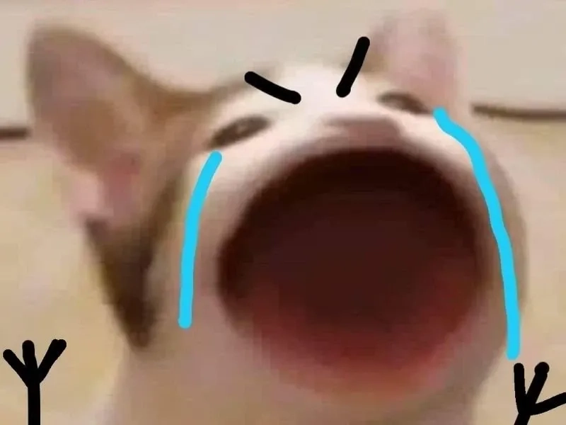 Cười ra nước mắt với happy crying meme