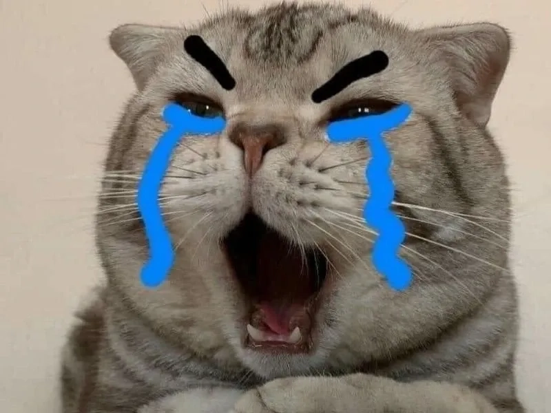 Thể hiện cảm xúc chân thật với cry about it meme