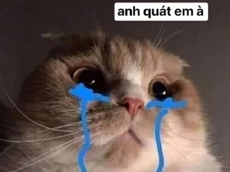 Những nét vẽ hài hước trong crying meme drawing