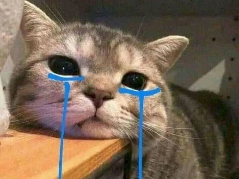 Biểu cảm thú vị từ crying girl and chad meme