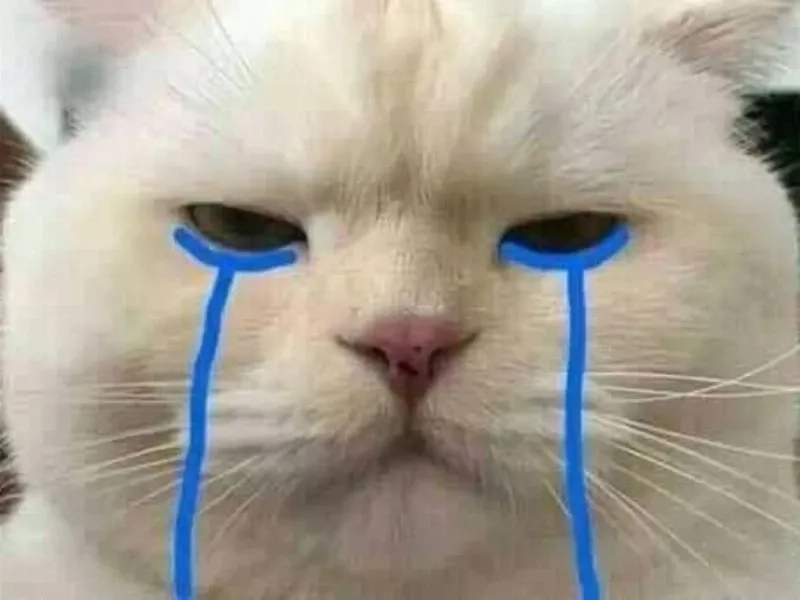 Những biểu cảm đáng yêu từ girl cry meme