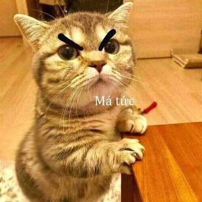 Icon chế ảnh meme cute độc đáo và sáng tạo