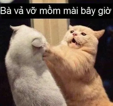 Meme đánh đầu siêu ngầu, tạo điểm nhấn cho bài đăng