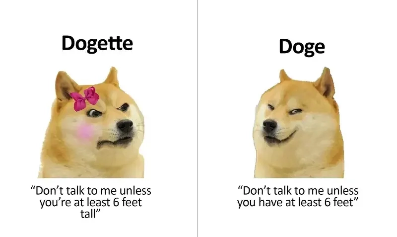 Xem ngay ảnh doge meme siêu hài để giải trí