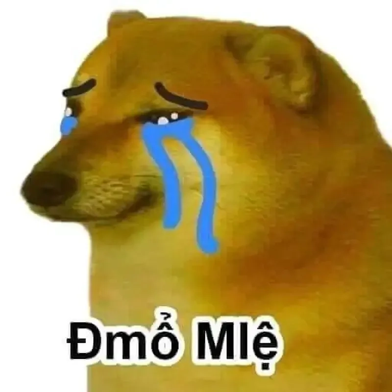 Doge bonk meme siêu hài với cú gõ đỉnh cao